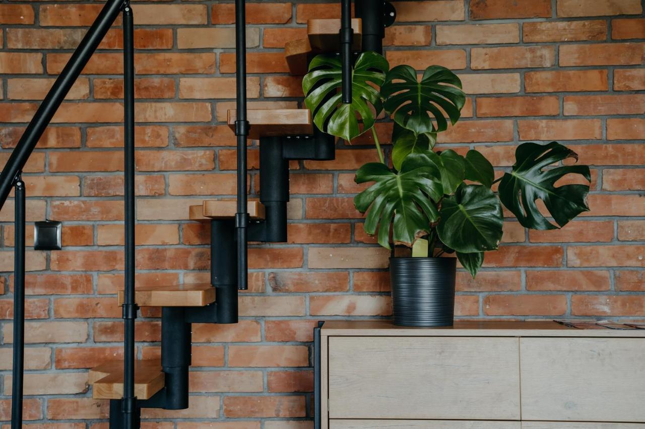 Osada Witow - Apartament „Czerwone Wierchy” Ngoại thất bức ảnh